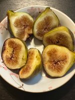 IMG_1025.jpeg