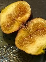 IMG_1028.jpeg