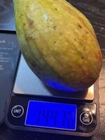 IMG_1135.jpeg