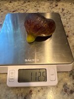 IMG_5350.jpeg IMG_5350.jpeg