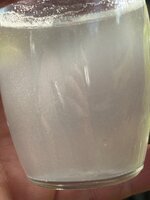 IMG_8368.jpeg
