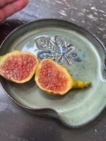 IMG_1178.jpeg