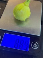 IMG_1228.jpeg