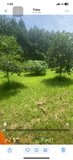 IMG_2390.png