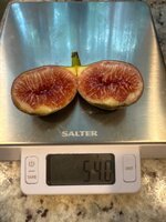 IMG_5436.jpeg