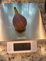 IMG_5435.jpeg