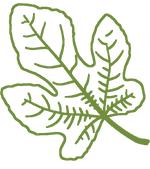 veins.png