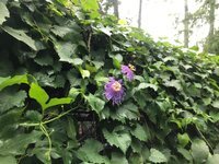IMG_6740.JPG