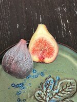 IMG_1477.jpeg