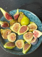 IMG_1478.jpeg