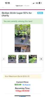 IMG_4012.png
