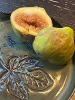 IMG_1530.jpeg