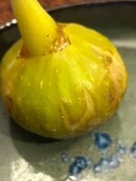 IMG_1547.jpeg
