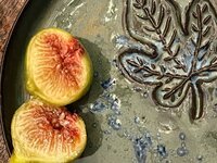 IMG_1549.jpeg