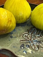 IMG_1553.jpeg