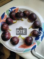 20250802_110606.jpg