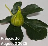 20250802_192946.jpg