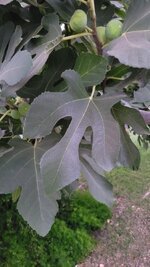 20250803_201339.jpg