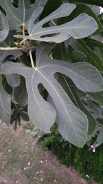 20250803_201335.jpg