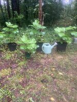 IMG_5819.jpeg