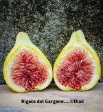 gargano_prathak.jpg