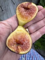 IMG_9570.jpeg