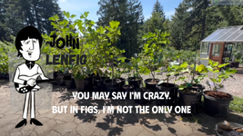 1754452870001.png