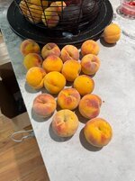 fuzzy nectarines.jpg