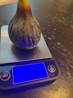 IMG_1711.jpeg