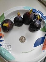 20250807_181810.jpg
