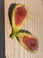 IMG_6841.jpeg