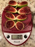 IMG_1951.jpeg