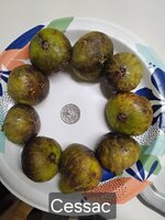 20250808_201631.jpg