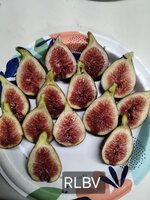 20250808_202918.jpg