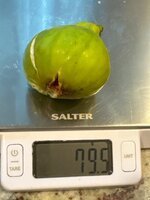 IMG_5782.jpeg