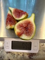 IMG_5785.jpeg