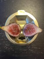 IMG_1764.jpeg