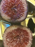 IMG_1765.jpeg