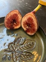 IMG_1747.jpeg