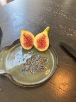 IMG_1738.jpeg