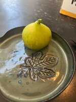 IMG_1740.jpeg