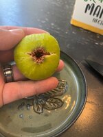 IMG_1741.jpeg