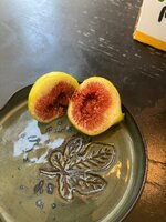 IMG_1743.jpeg