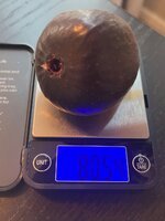 IMG_1775.jpeg