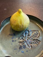 IMG_1782.jpeg