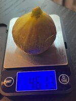 IMG_1784.jpeg
