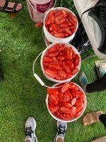IMG_0153.jpeg