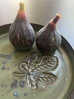 IMG_1837.jpeg