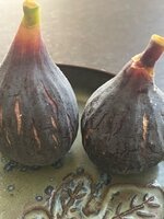 IMG_1838.jpeg