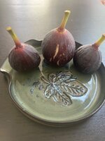 IMG_1843.jpeg